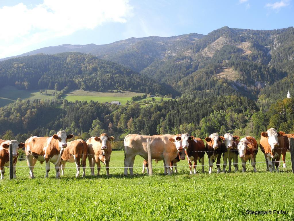 Hotel Stiegenwirt Palfau Zewnętrze zdjęcie
